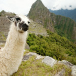 8 maneras de arruinar tu viaje a Machu Picchu