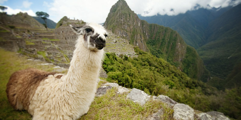 8 maneras de arruinar tu viaje a Machu Picchu