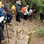 En Febrero cerrarán Camino Inca a Machu Picchu por mantenimiento