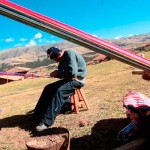 Empresarios peruanos se capacitan en Costa Rica sobre turismo sostenible