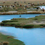 Suscriben acuerdos de conservación en anexos de Reserva Nacional de Salinas y Aguada Blanca