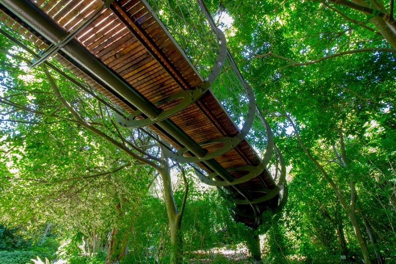 Centenary-Tree-Canopy-Walkway8