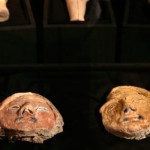 Arqueólogos descubren ofrendas con una antigüedad de 3800 años en Caral