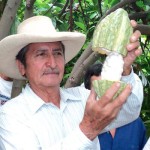 Cacao de Piura y Tumbes seleccionado entre 50 mejores del mundo