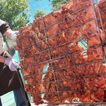 70 empresas participarán en “III Festival Gastronómico del Chancho Al Palo” en Huaral
