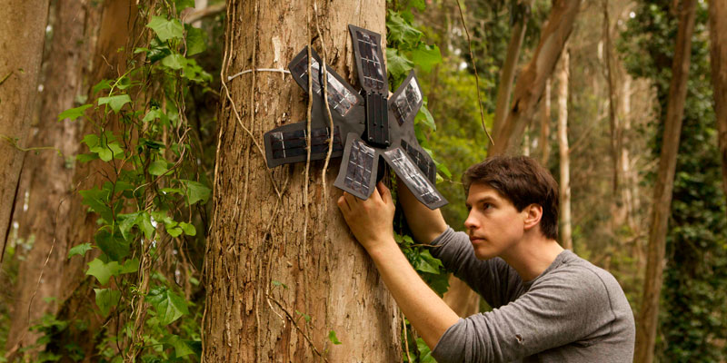 Usan celulares reciclados para evitar deforestación ilegal