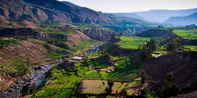 Valle del Colca fue declarado primer destino turístico de Arequipa