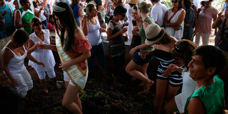 Ica espera recibir más de 800,000 turistas por Festival de la Vendimia