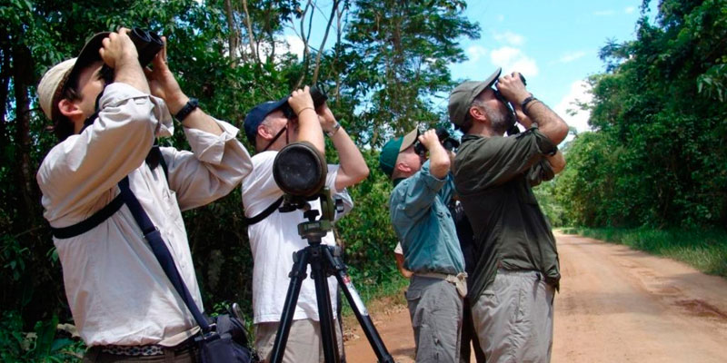 Primera Feria Cientifica Bird Day se realizará en los Pantanos de Villa