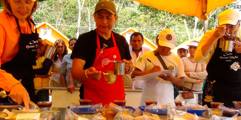 Café orgánico de Chanchamayo alcanzó precio récord de 2,350 dólares el quintal