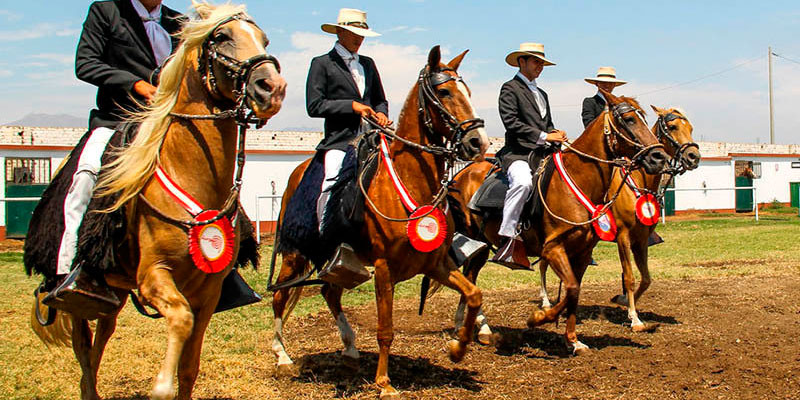 Arequipa volverá a ser sede del XV Concurso de Caballos de Paso