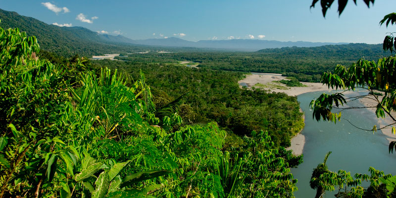 Aprueban creación de la Reserva de Biosfera Amazónica de Junín