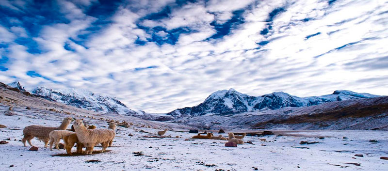 ausangate considerado la quinta montaña más alta del Perú