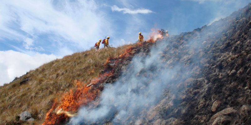Incendios forestales en Cajamarca y Lambayeque vienen siendo controlados
