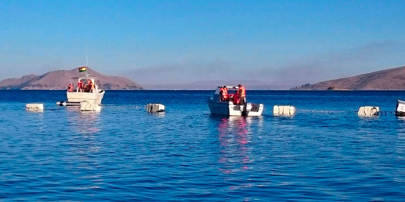 Perú y Bolivia ejecutarán acciones para descontaminar el lago Titicaca