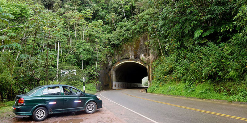 Invertirán 50 millones de dólares para mejorar paisaje forestal en corredor Tarapoto-Yurimaguas