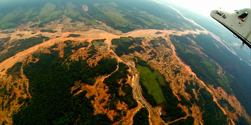 Proyecto de reforestación de estudiante peruana es finalista en concurso de la ONU