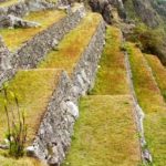Descubren nuevos andenes en Machu Picchu
