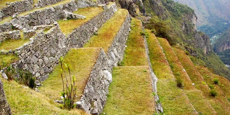 Descubren nuevos andenes en Machu Picchu