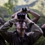 Perú Observación de aves